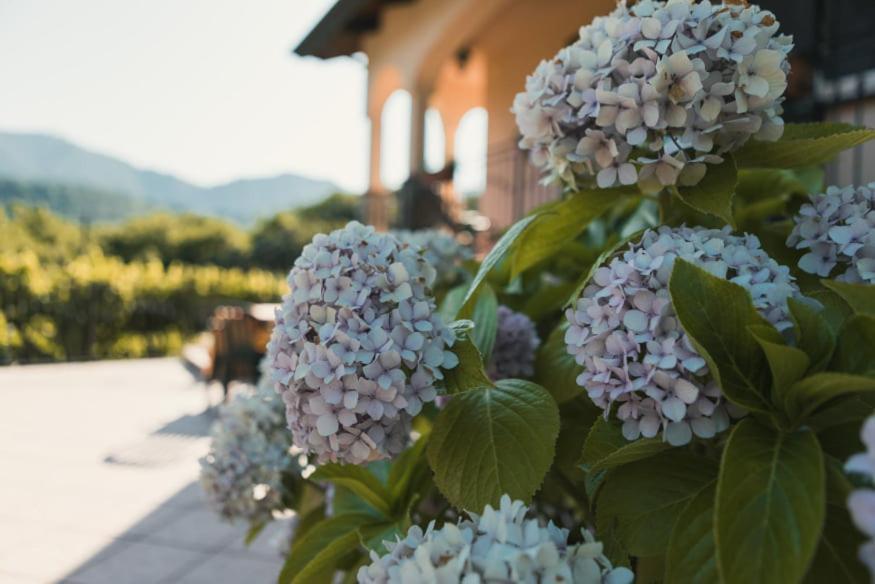 Il Frescale Country House Tramonti Extérieur photo
